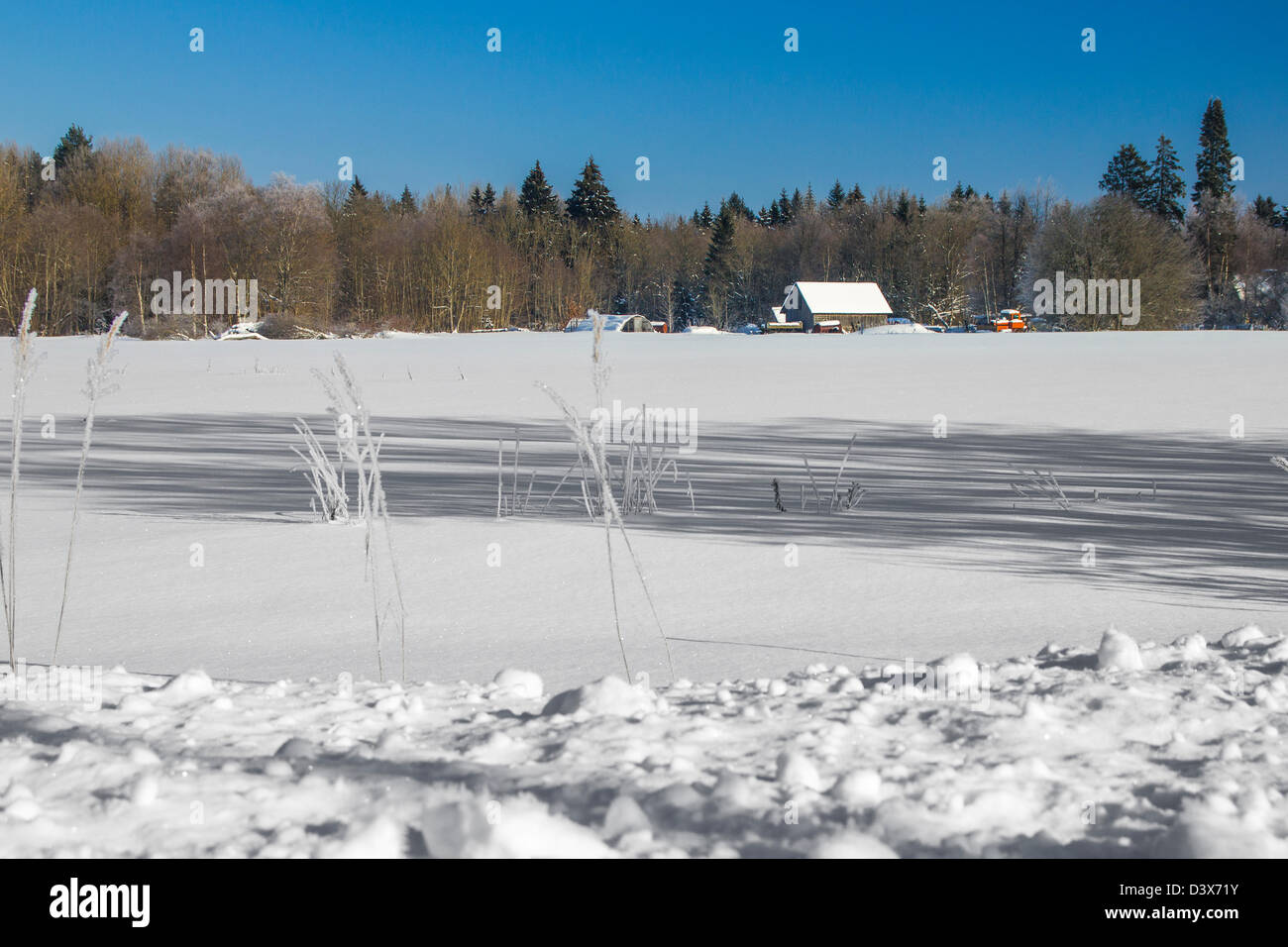 Farm Banque D'Images