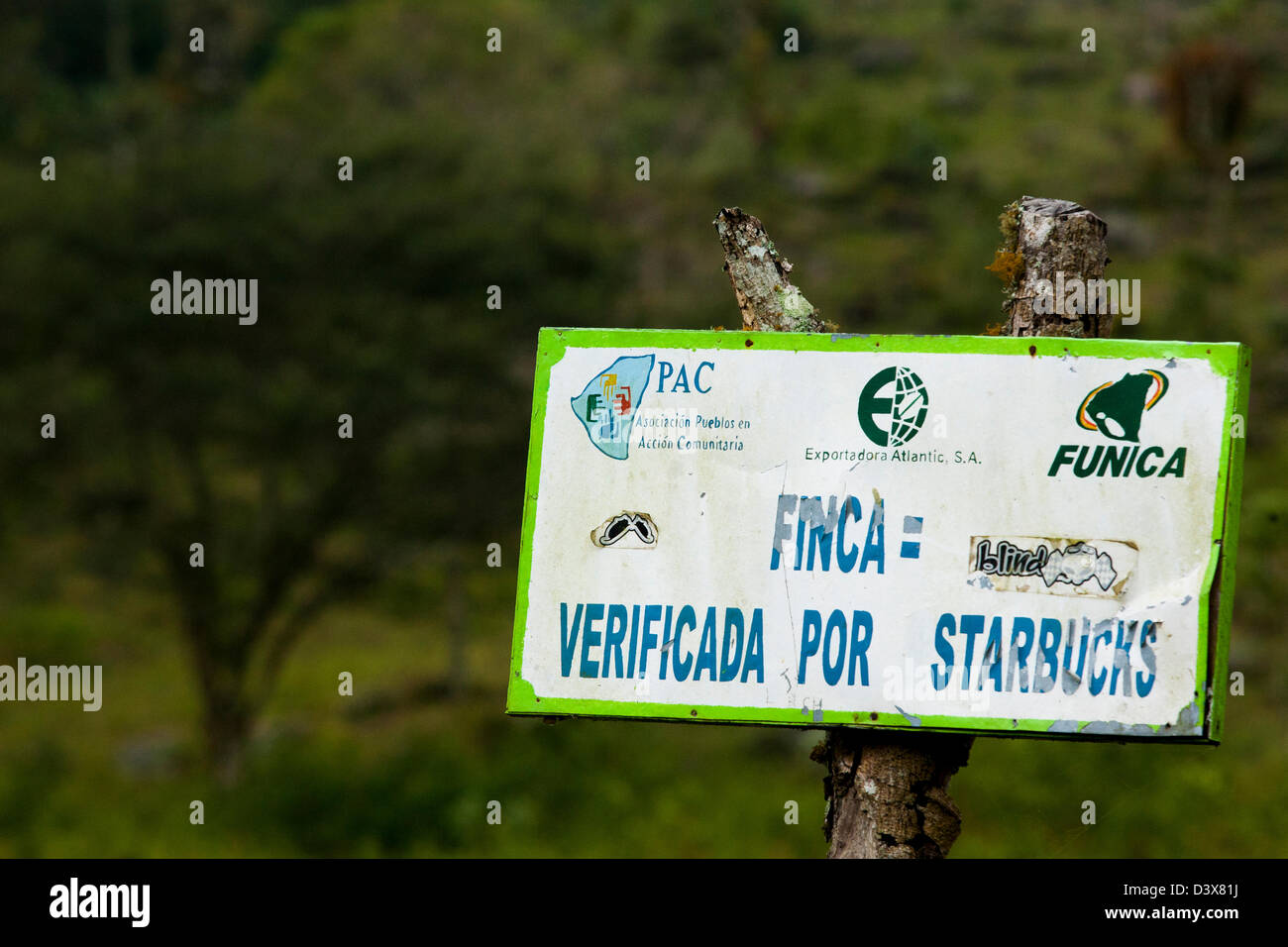 Un panneau proclamant que cette finca pousse les haricots pour Starbucks dans Miraflores dans la culture du café du Nicaragua highlands Banque D'Images