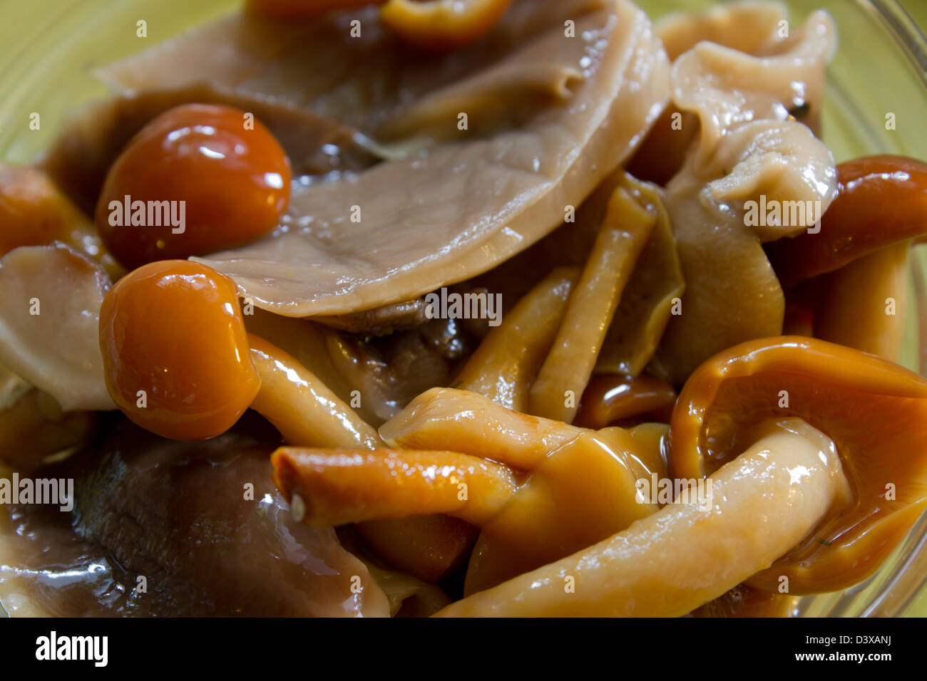 Salade avec wild, champignons marinés Banque D'Images