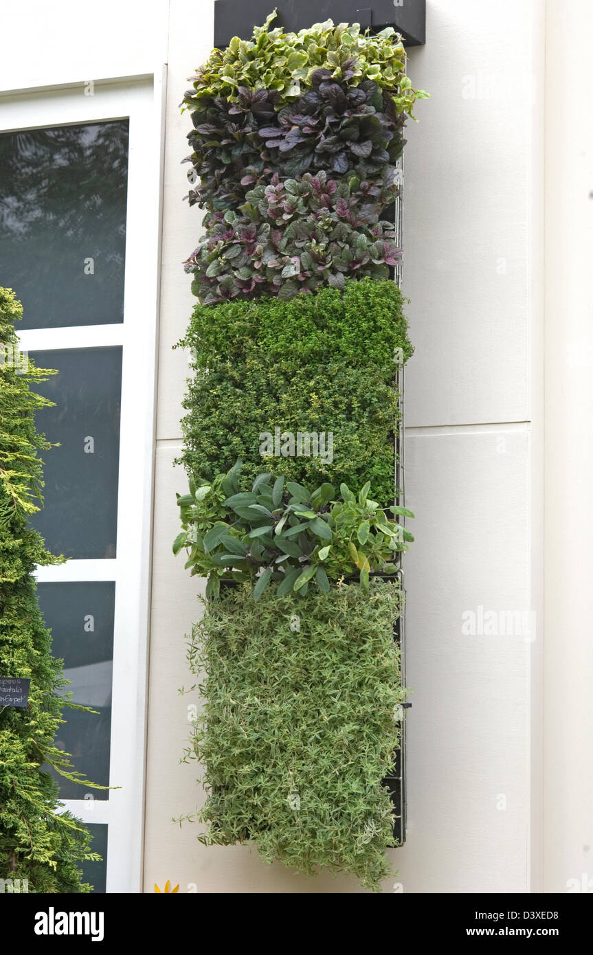 Nouveau système d'Ball-Colegrave la culture de plantes sur une surface verticale vu ici Peter Seabrook's 'Le Soleil Balcon' RHS Banque D'Images