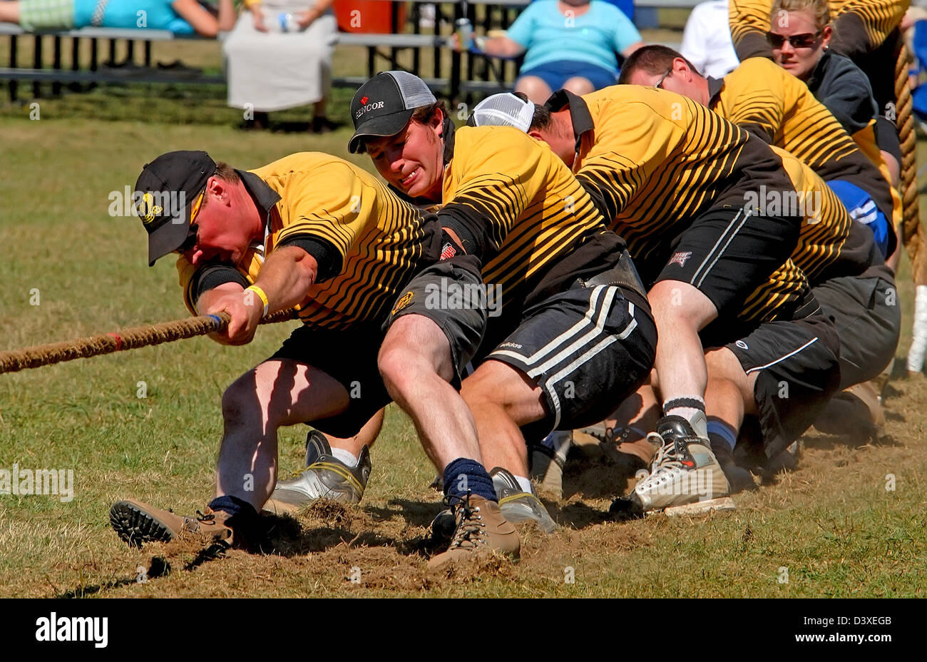 Remorqueur de la guerre au cours de Fergus Scottish Festival, Canada Banque D'Images