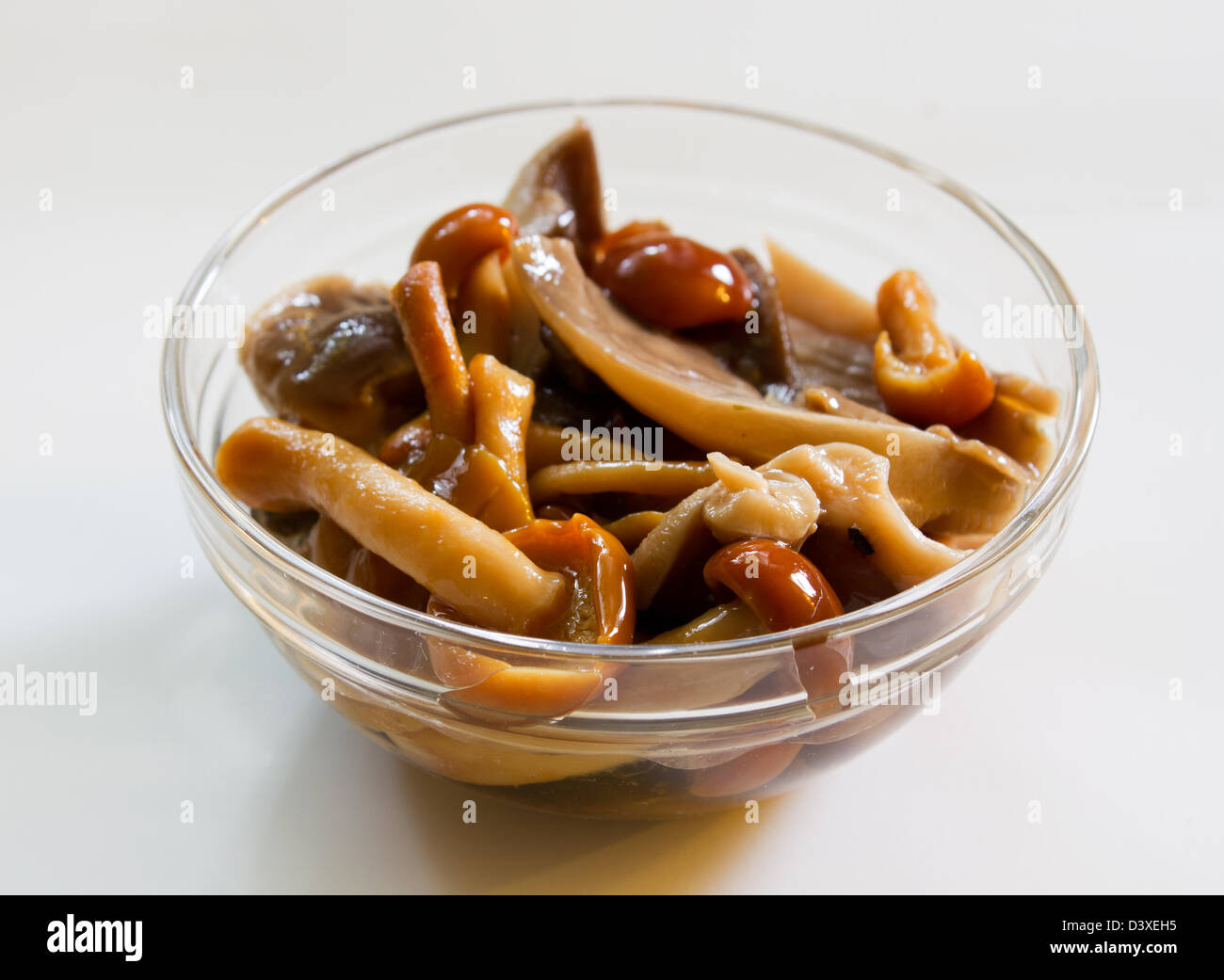 Salade avec wild, champignons marinés Banque D'Images