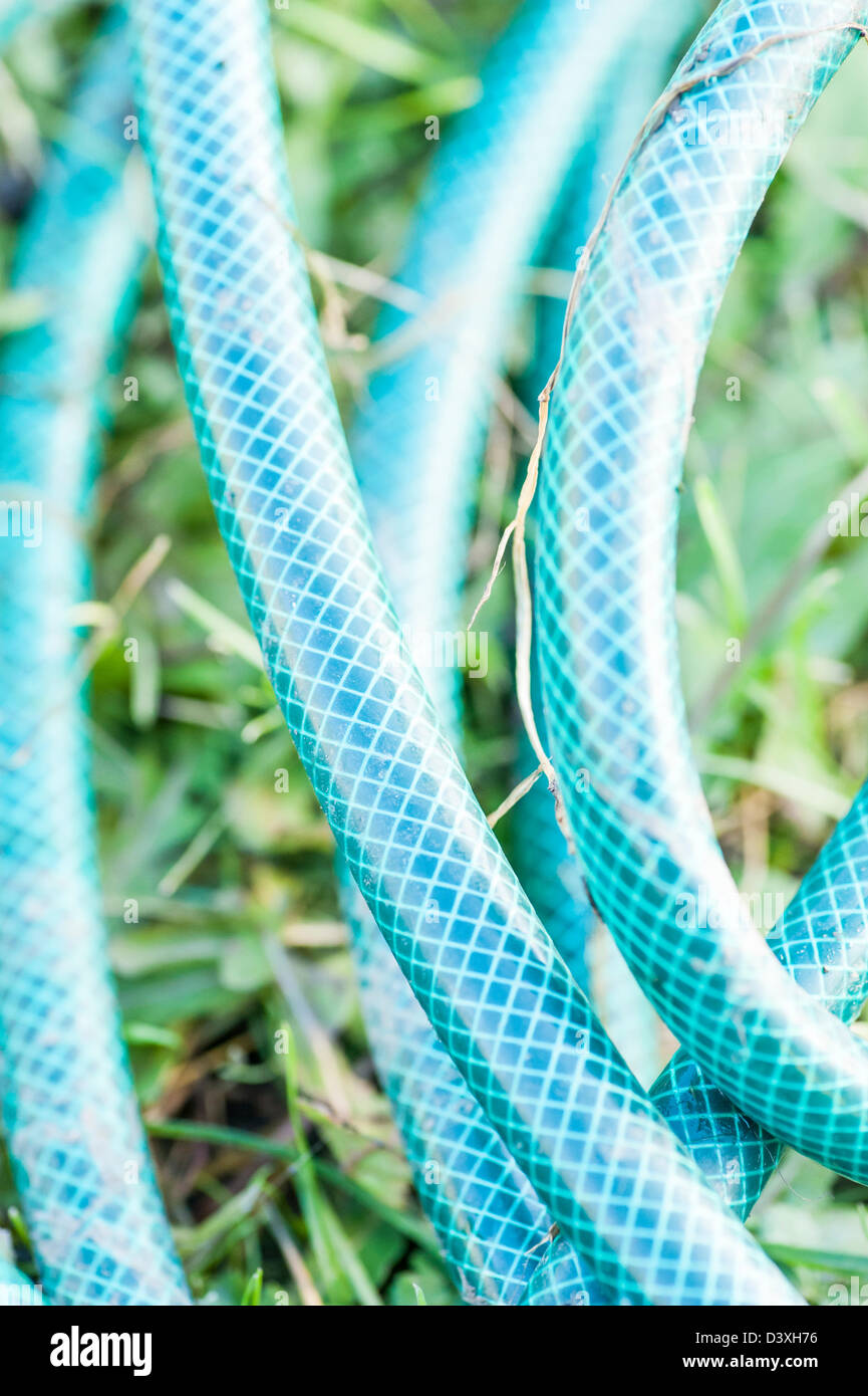 Arrosage lying on grass in vegetable garden Banque D'Images