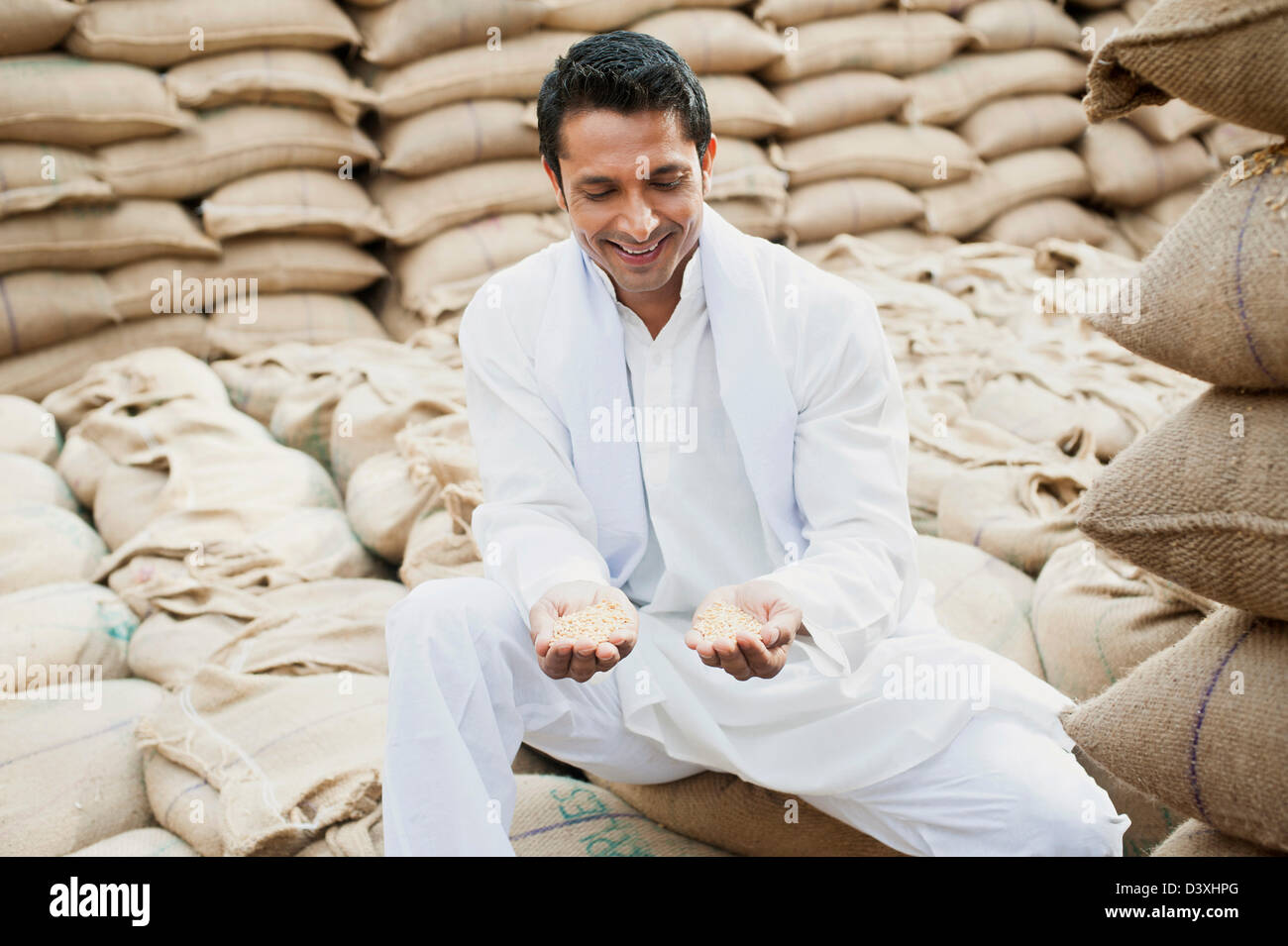 Les grains de blé, montrant l'homme Anaj, Mandi, Sohna Gurgaon, Haryana, Inde Banque D'Images