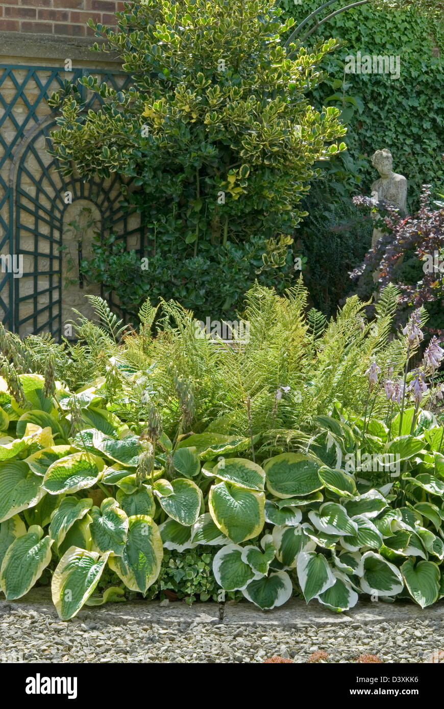 Jardin de la Cour. Planté de fougères et Hostas panachés cool Banque D'Images