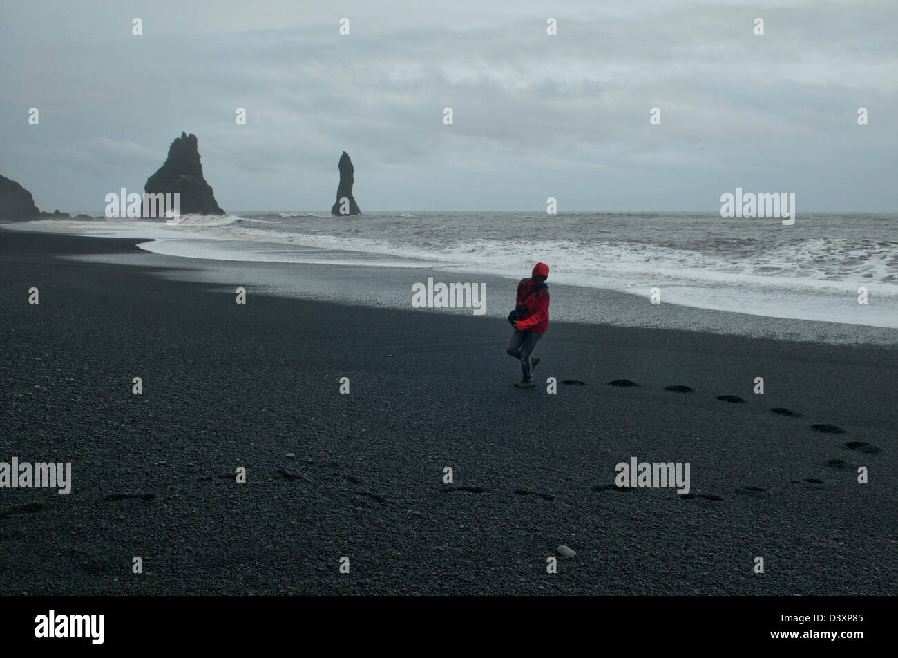 Plage de sable noir de Reynisfjara qui jouit, dans le sud de l'Islande Vik Banque D'Images
