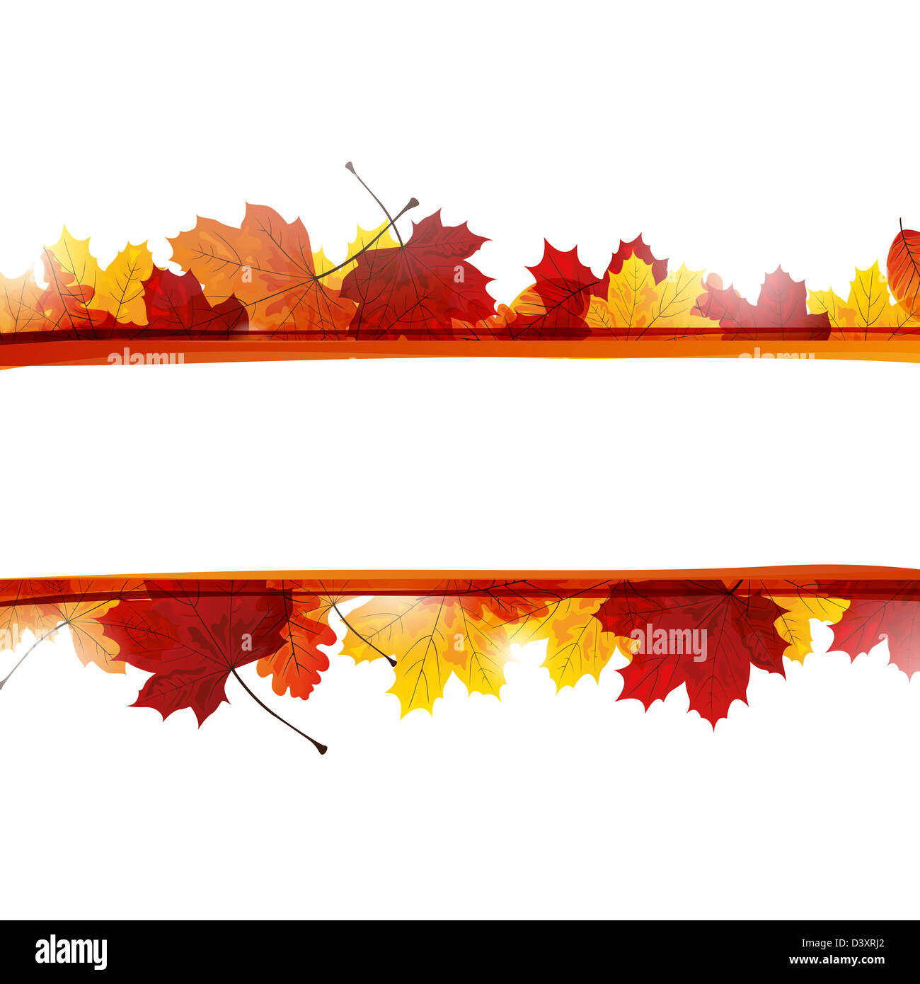 Feuilles automnales Banque D'Images