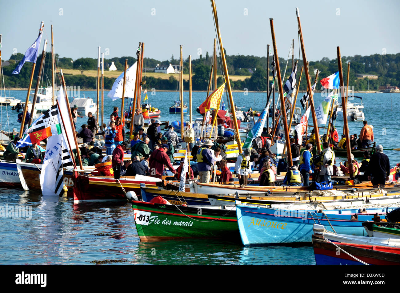 Rassemblement de gigs (voile et avirons), au cours de l'événement "Semaine du Golfe", Semaine du golfe du Morbihan. Banque D'Images