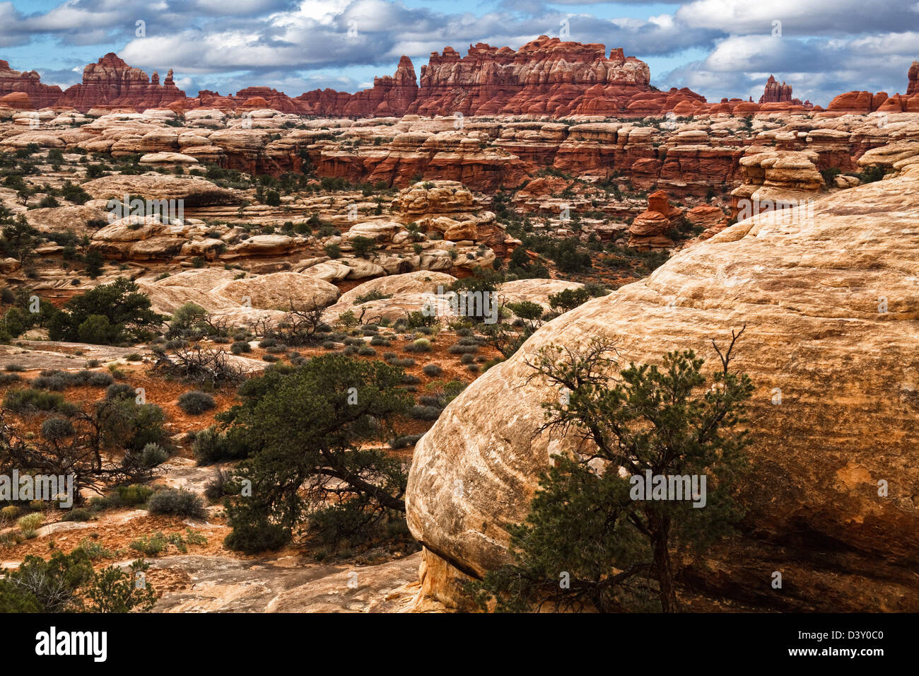 Canyonlands National Park, Utah Banque D'Images