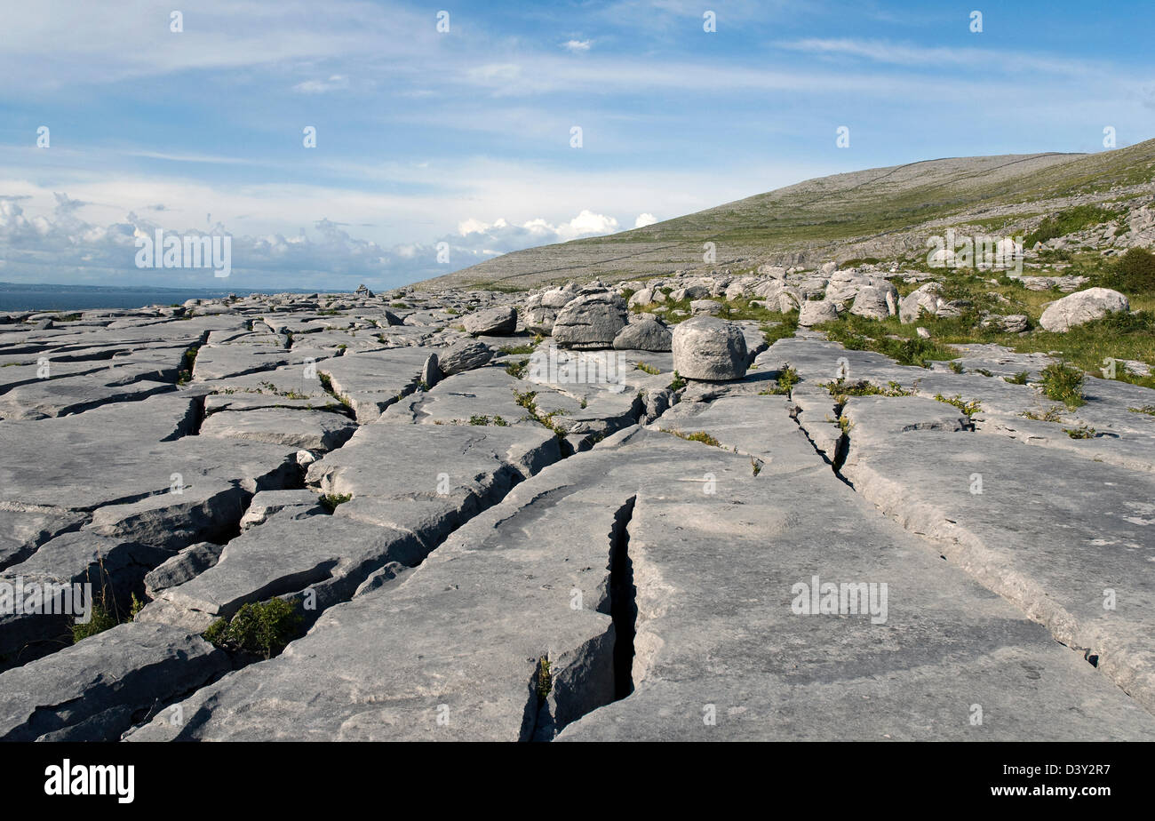 Pavages calcaires, le Burren, Co Clare, côte ouest de l'Irlande Banque D'Images