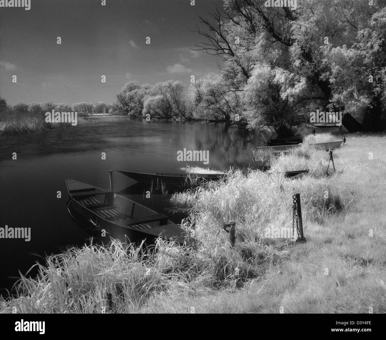 Jerchel, Allemagne, noir et blanc photographie infrarouge : Paysage de Havel Banque D'Images