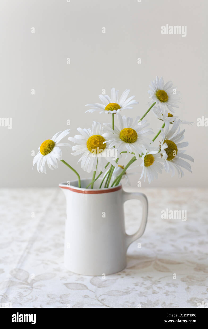 Les marguerites blanches avec centre jaune dans un petit pot sur une nappe à motifs légèrement Banque D'Images