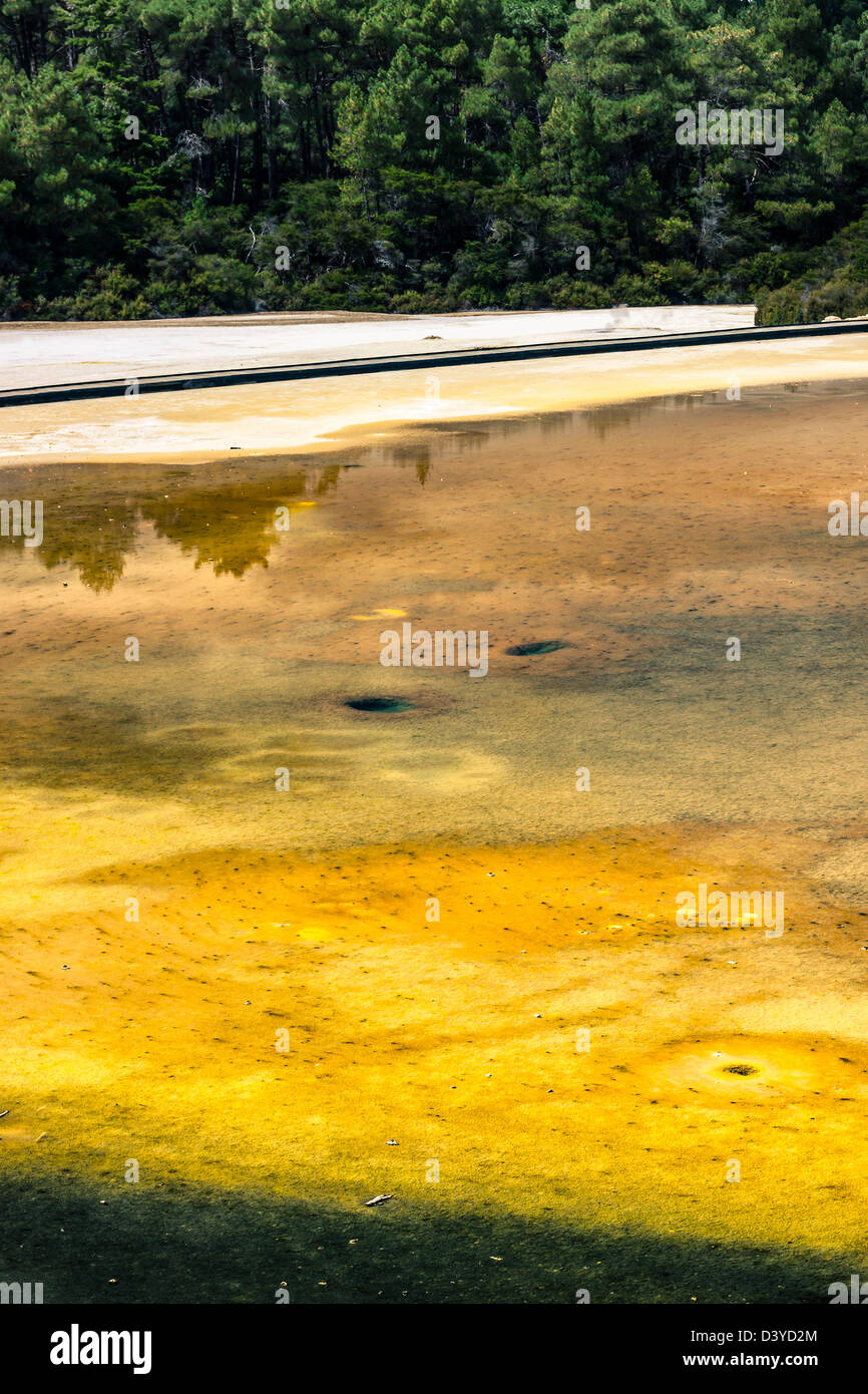 Beau lac thermal coloré zone géothermique à à Wai-O-Tapu, Rotorua, île du Nord, en Nouvelle-Zélande. Banque D'Images