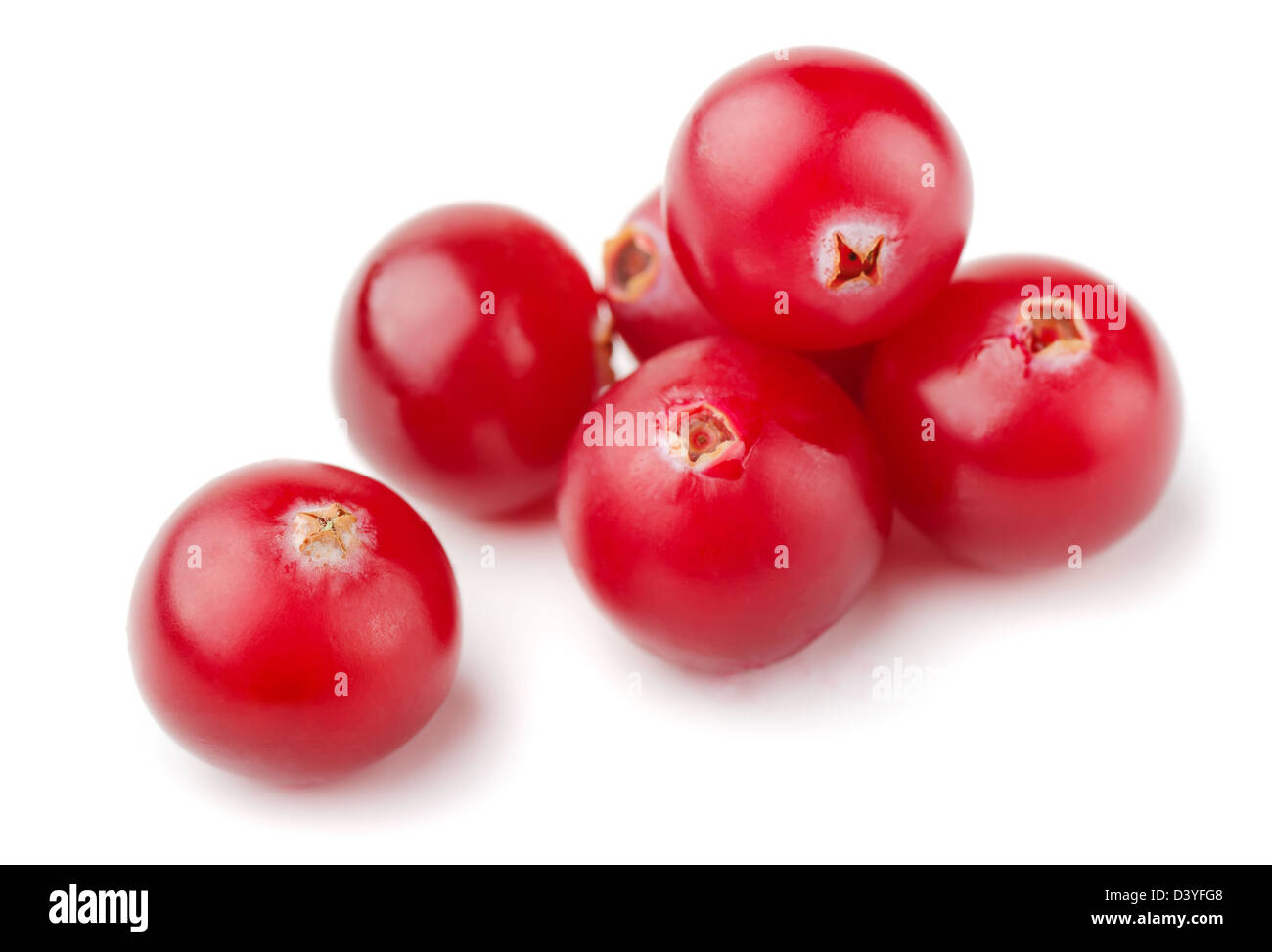 Groupe de resh cranberries isolated on white Banque D'Images
