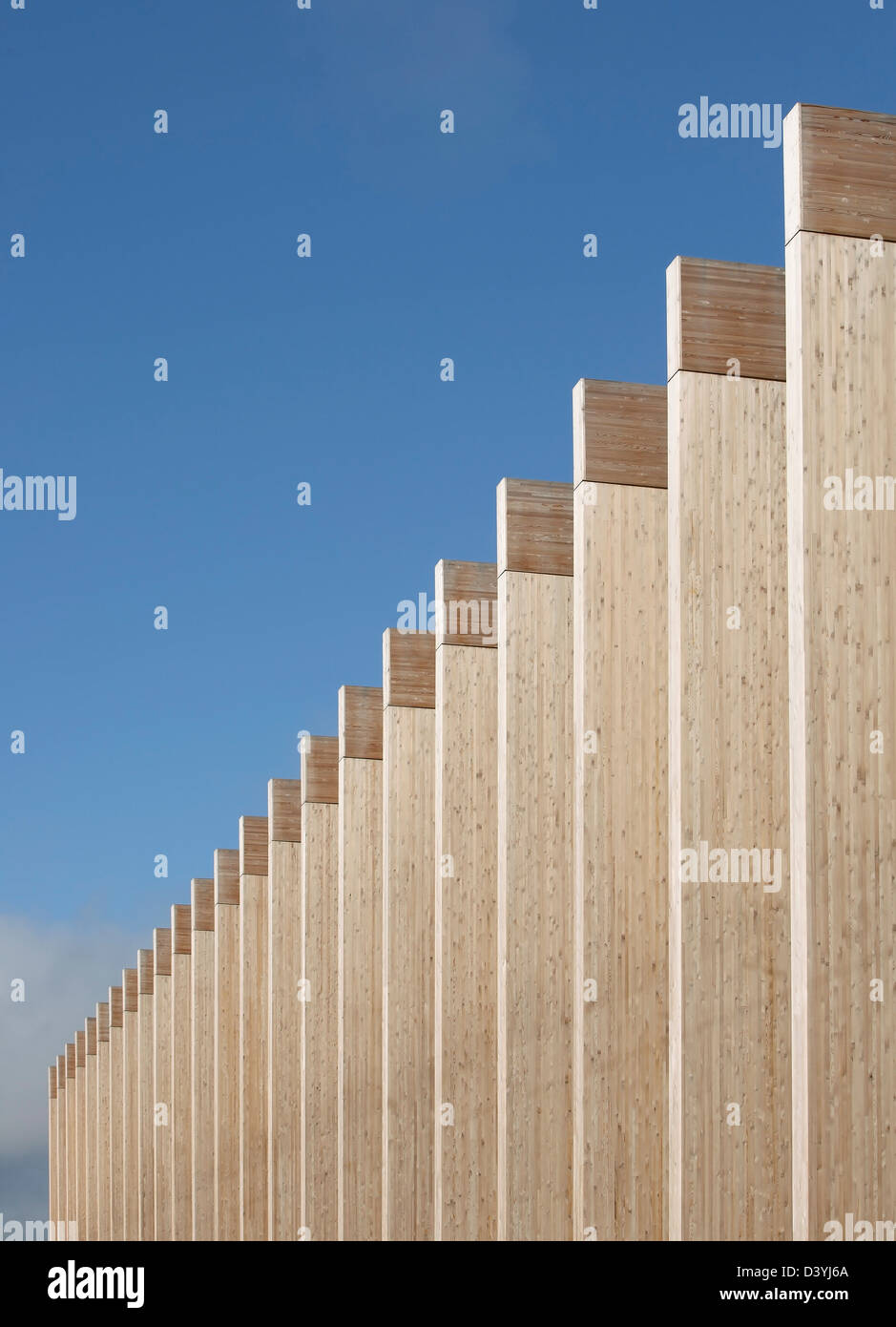 Bournville College, Birmingham, Royaume-Uni. Architecte : Broadway Malyan Limited, 2011. Perspective de poutres de bois. Banque D'Images