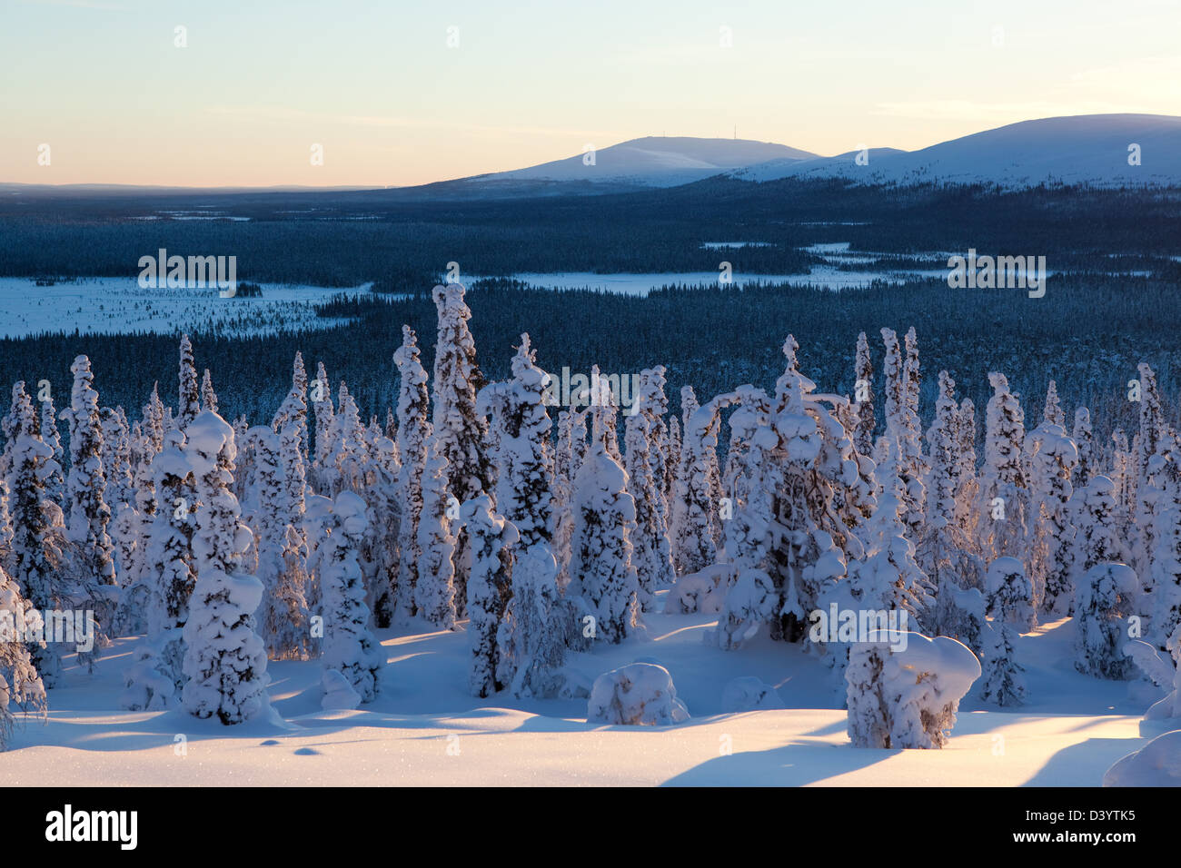 En Laponie Yllas, paysage, en Finlande. Banque D'Images