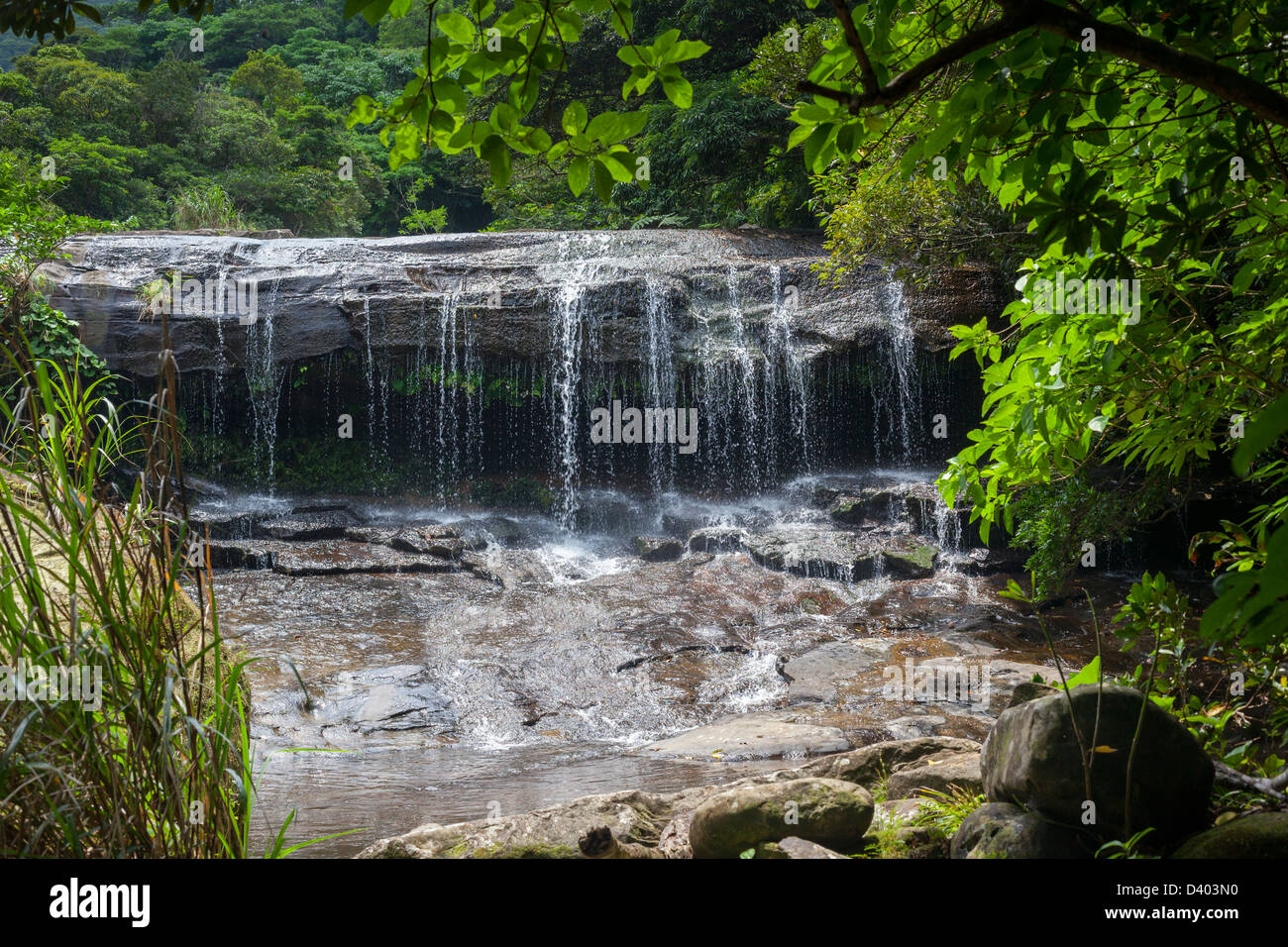 Cascade dans une forêt tropicale, l'île d'Iriomote, Okinawa Prefecture, Japan. Banque D'Images