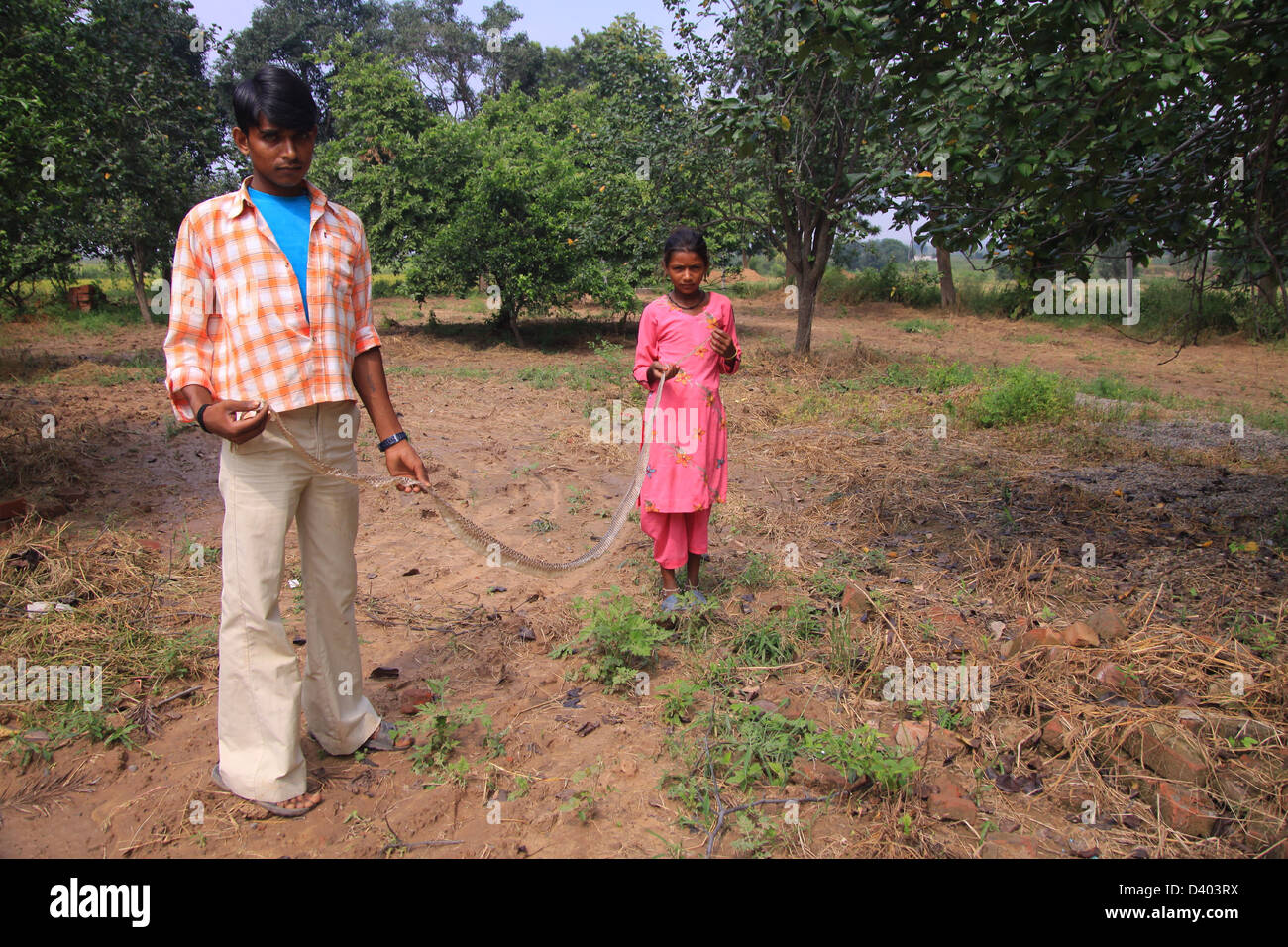 Deux enfants du village du Pendjab, en Inde tenir un hangar peau de serpent trouvé dans la région autour de leur maison Banque D'Images