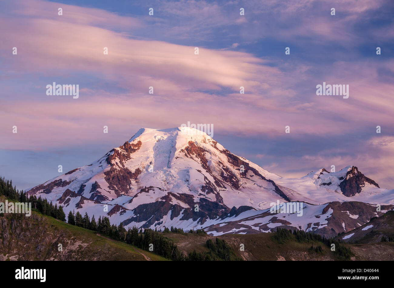 Le mont Baker à partir de la piste de la ligne d'horizon, le mont Baker-Snoqualmie National Forest, Washington. Banque D'Images