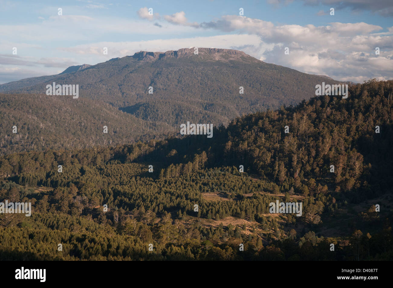 Bluff de l'Ouest, Great Western Tiers, Tasmanie Banque D'Images