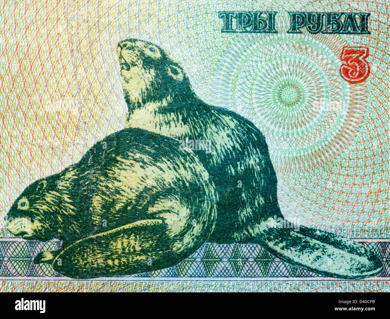 Billet de 3 roubles, deux castors, Belarus, 1992 Banque D'Images