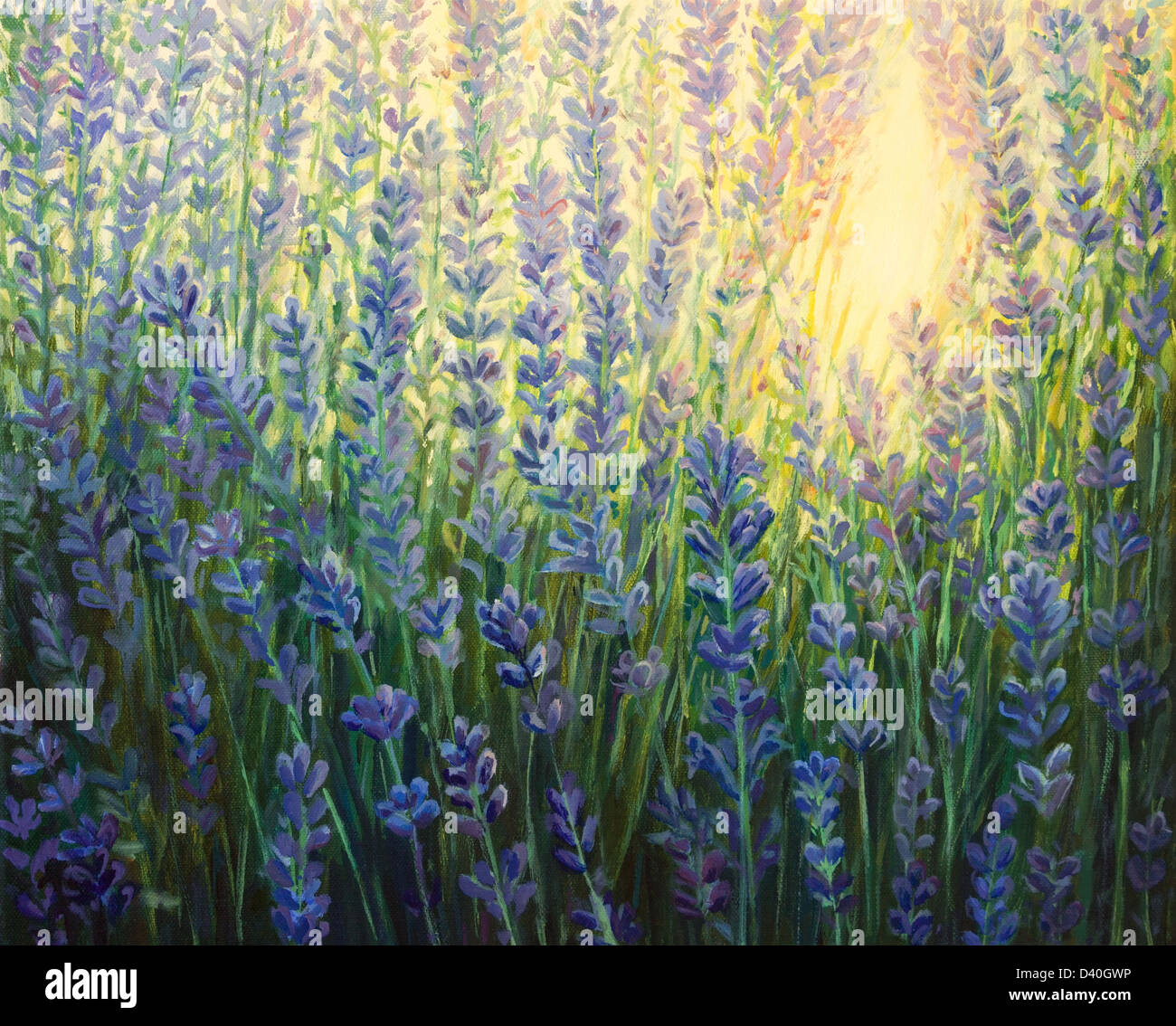 Une peinture à l'huile sur toile d'un lavande violette fleurs de bush dans les derniers rayons du soleil au crépuscule. Banque D'Images