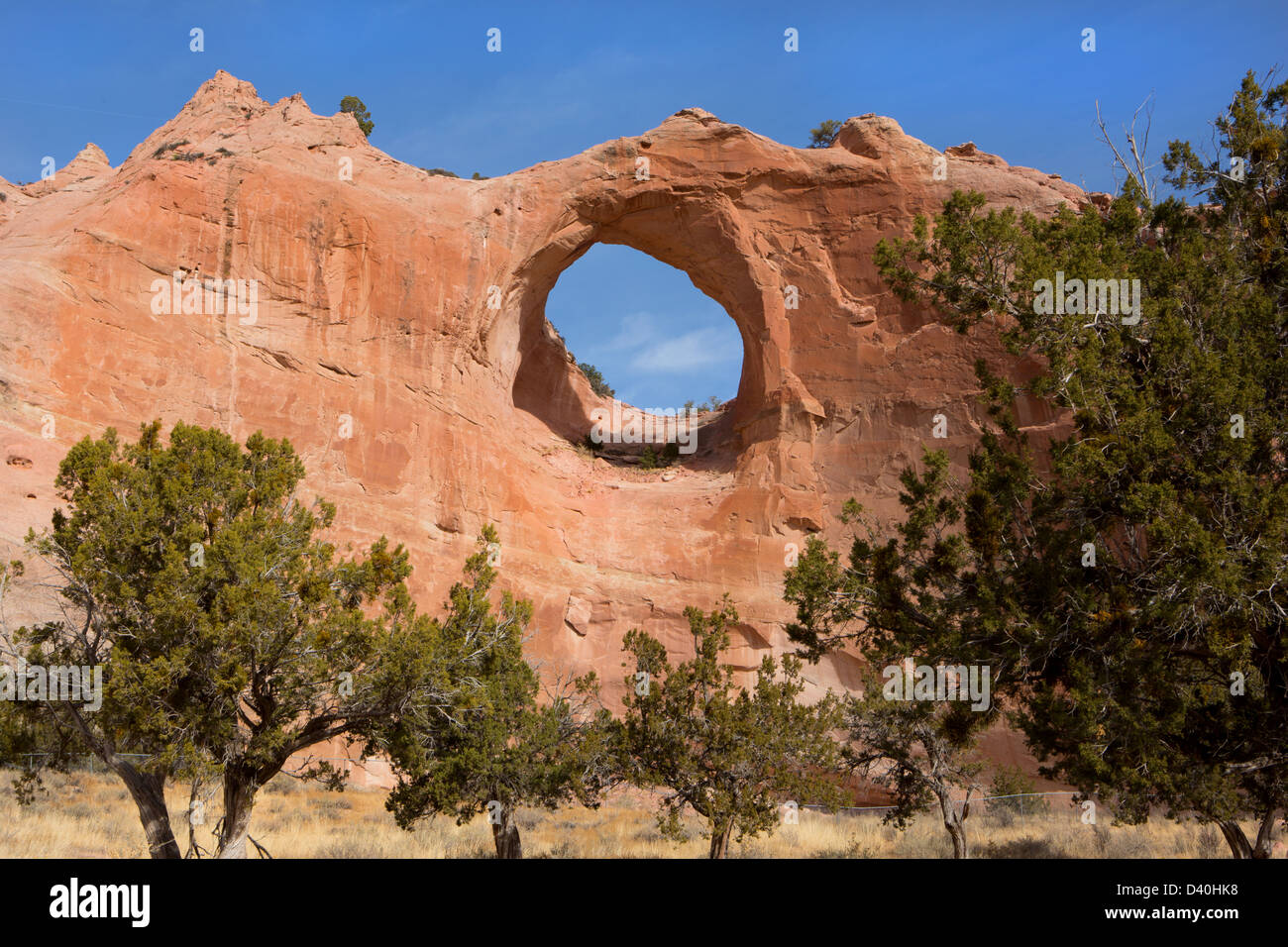 Rock fenêtre, Arizona. Banque D'Images