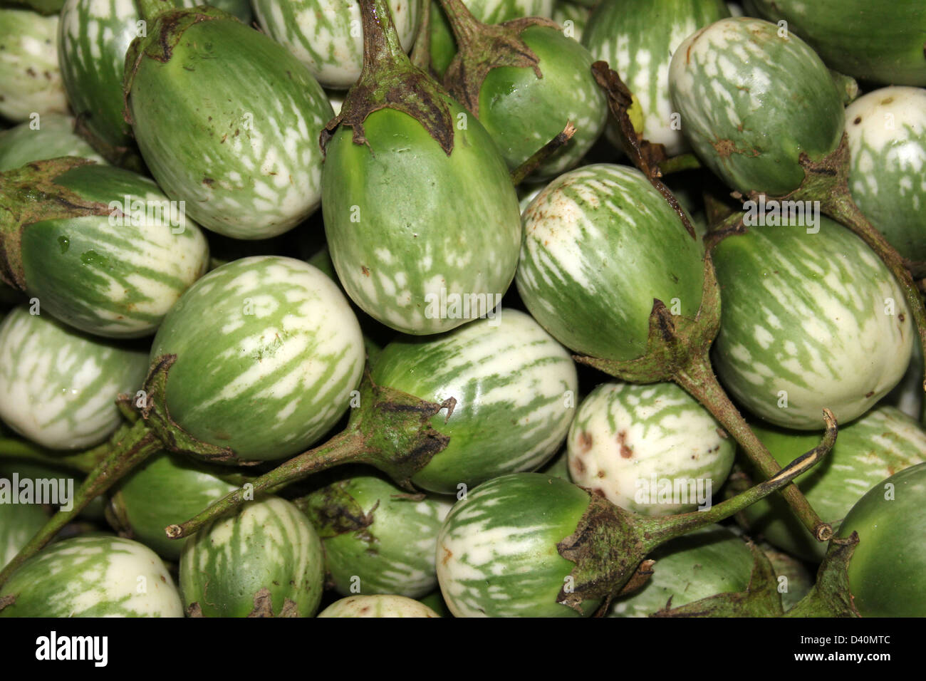 Aubergines thaïes à vendre dans un marché sri-lankais Banque D'Images