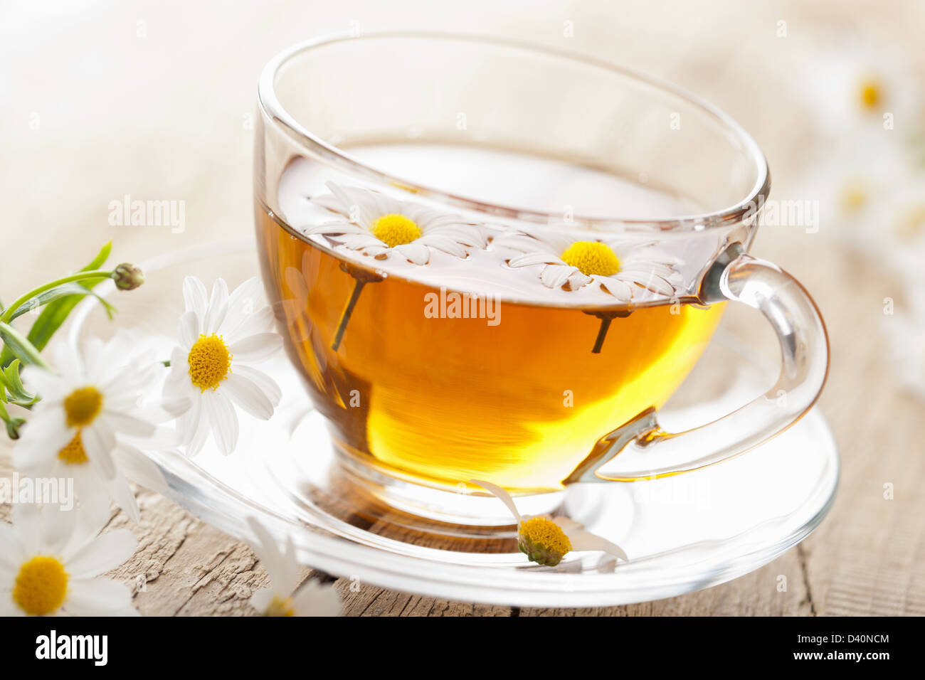 Tasse de thé de fines herbes avec fleurs de camomille Banque D'Images