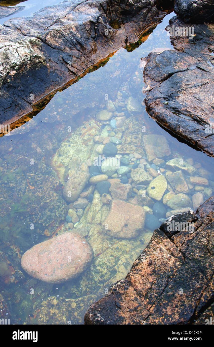 Les corniches en granit rose vous faire une cuvette le long du sentier de Ship Harbour, l'Acadia National Park, Maine. Banque D'Images