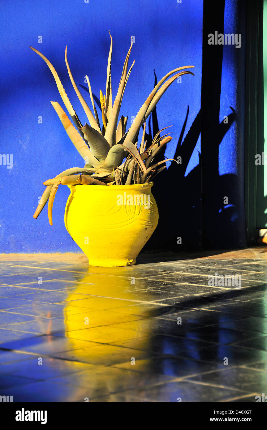 Plantes en pot dans le Jardin Majorelle, conçu par Jacques Majorelle et restauré par Yves Saint Laurent à Marrakech, Maroc. Banque D'Images