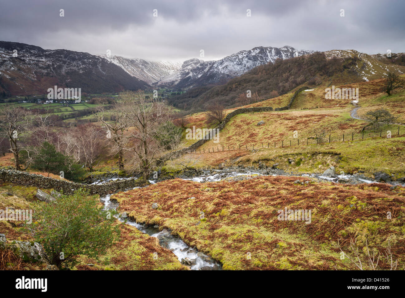 Vue sud donnant sur Langue Gill en hiver, Borrowdale, Cumbria, Lake District, England, UK Banque D'Images