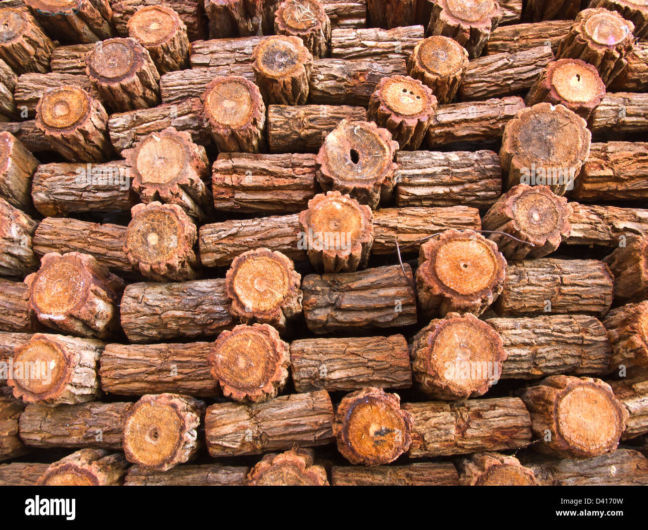 Le bois de texture de fond. Gros plan du bois haché stack Banque D'Images