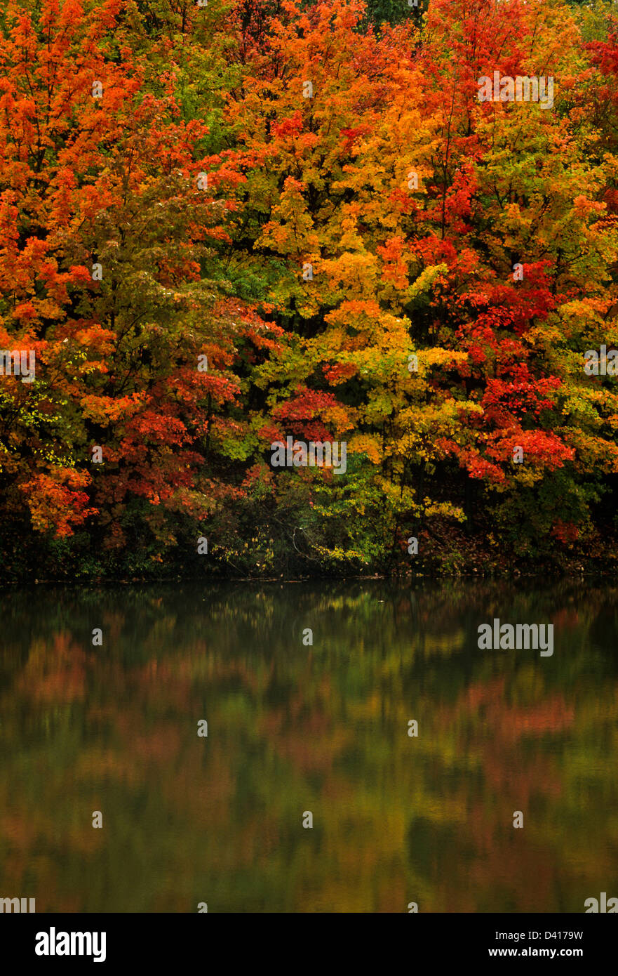 Paysage d'automne coloré étang de Pt lac reflet d'arbres d'automne colorés dans le Vermont, Nouvelle-Angleterre États-Unis feuilles d'automne couleurs enchantées pt Banque D'Images