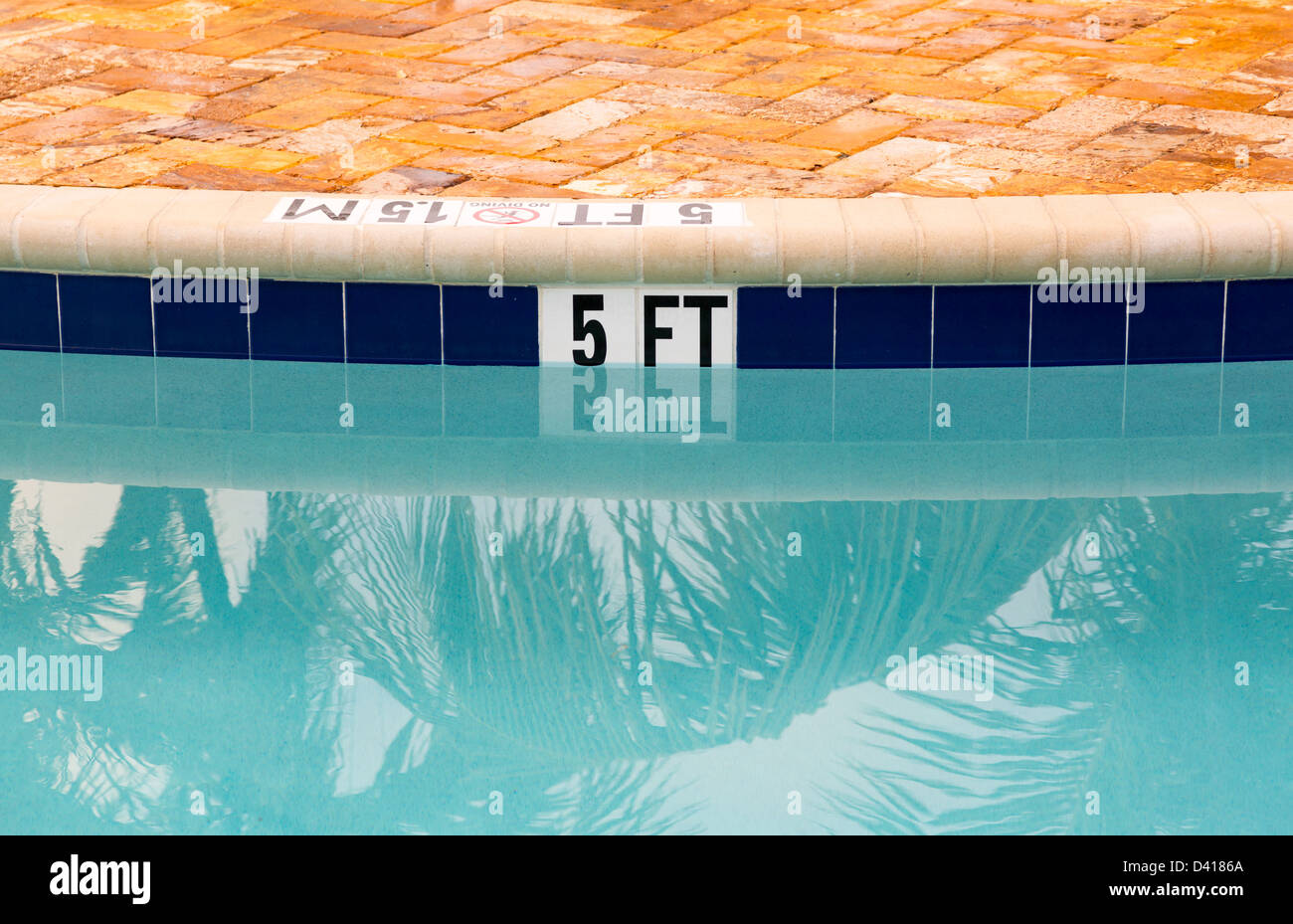 Panneau indiquant la profondeur de 5 pieds sur le bord de piscine bleu avec pas de plongée Banque D'Images