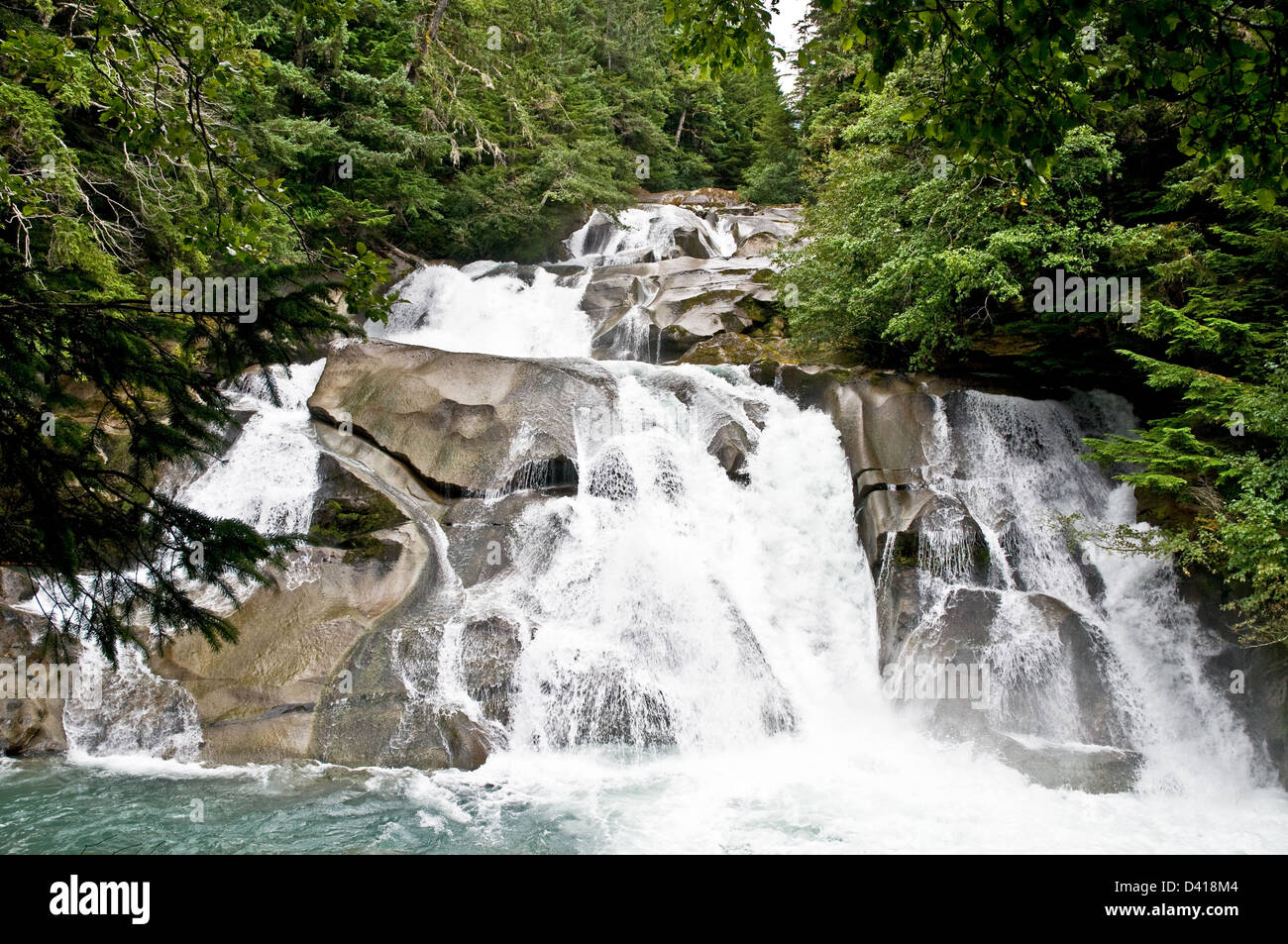 Clayton Creek Falls dans la forêt du Grand Ours près de Bella Coola, en Colombie-Britannique, Canada. Banque D'Images