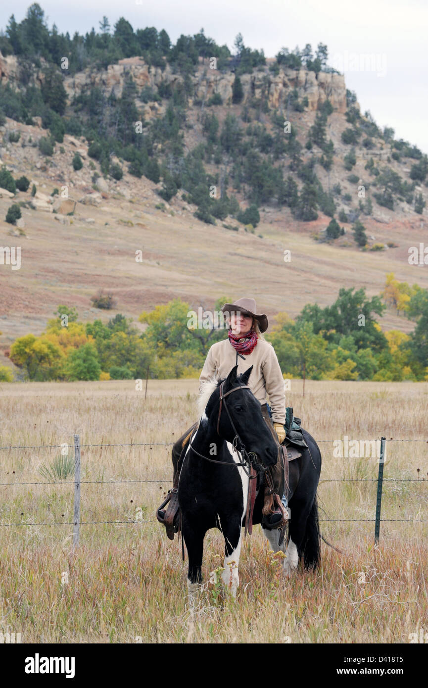 Cowgirl rides son cheval au cours de round-up du Wyoming, cowgirl cowboy et de l'ouest des États-Unis, d'élevage, Banque D'Images
