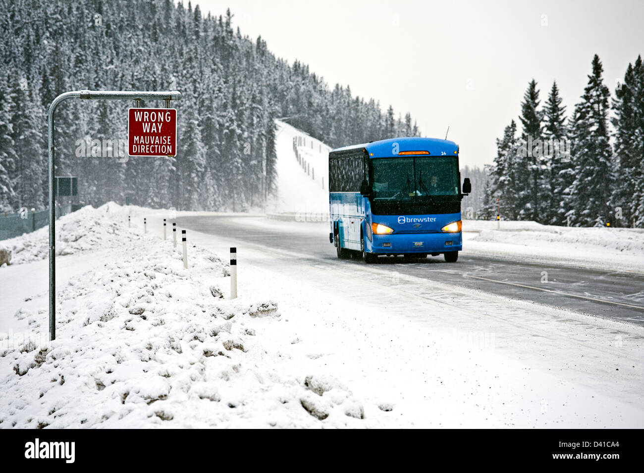 Mauvaise façon de signer et de bus de tournée sur la route transcanadienne dans des conditions hivernales, près de Lake Louise Banque D'Images