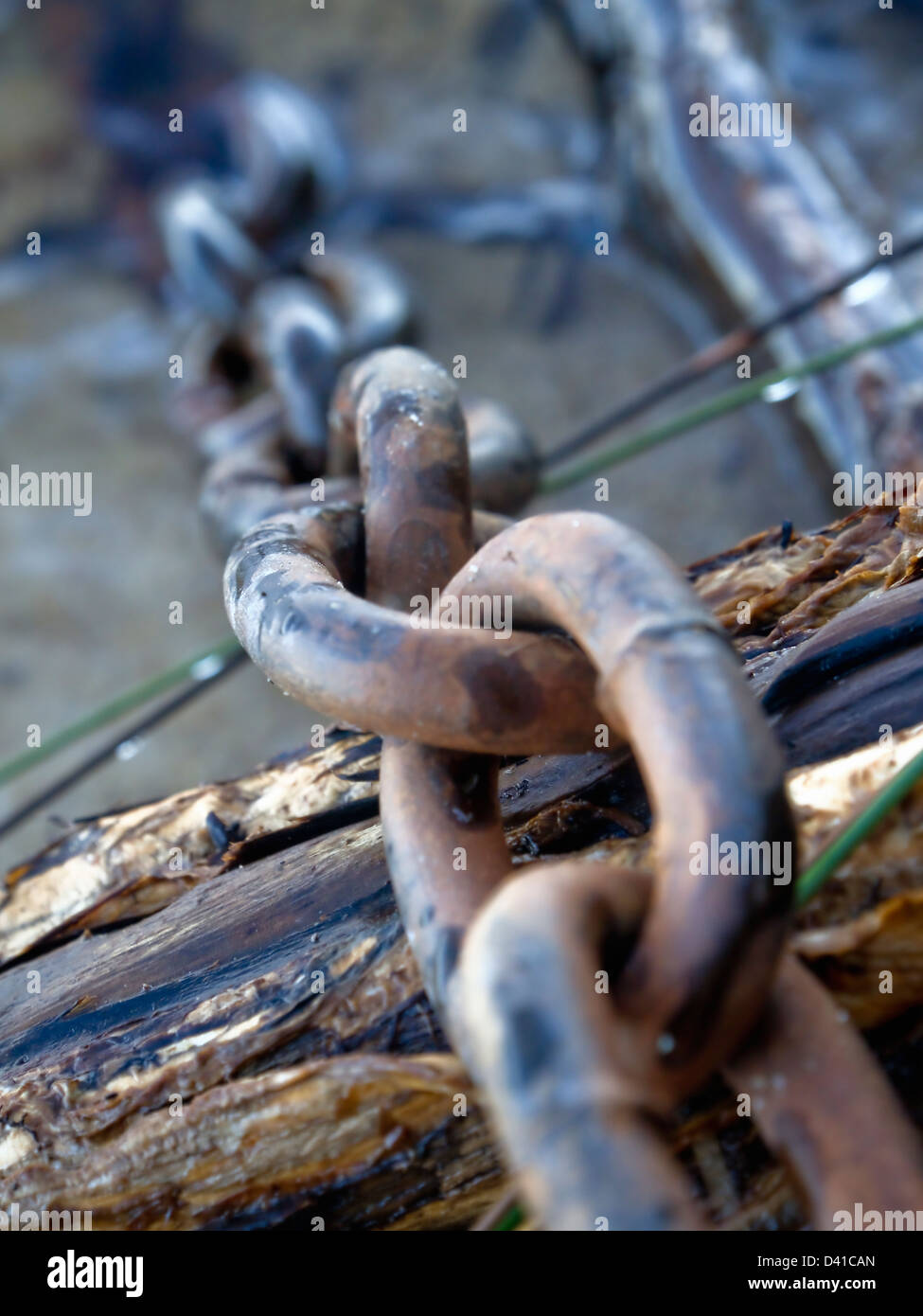 Une image en couleur d'une chaîne en métal rouillé portant sur une tordue et lâ arbre branche australienne sur le bord des lacs. Banque D'Images