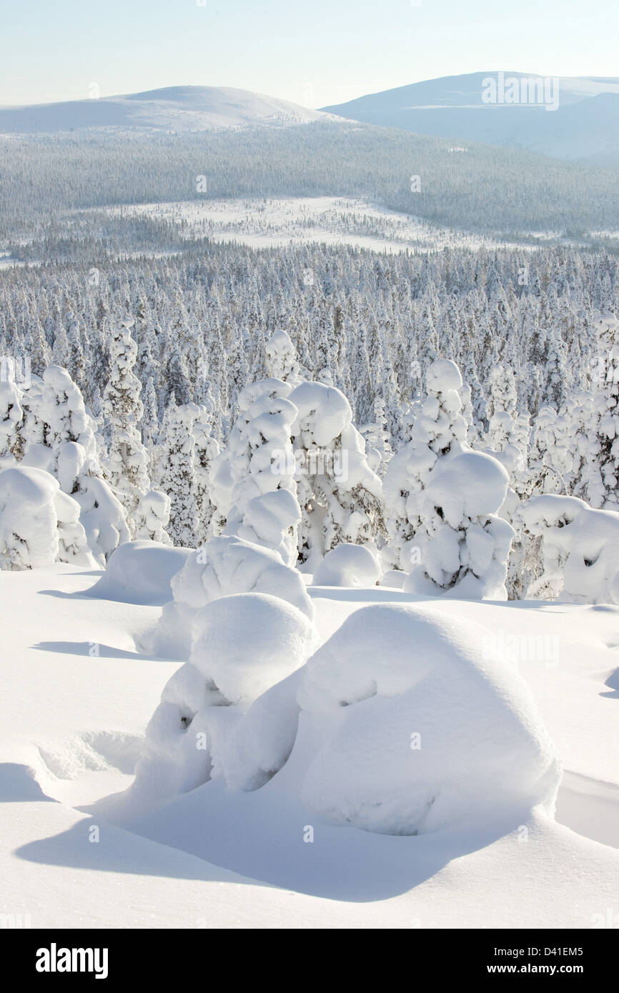 Paysage d'hiver à Yllas, Finlande Banque D'Images