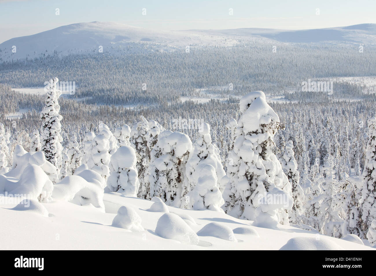 Paysage d'hiver Ylläs, en Finlande Banque D'Images