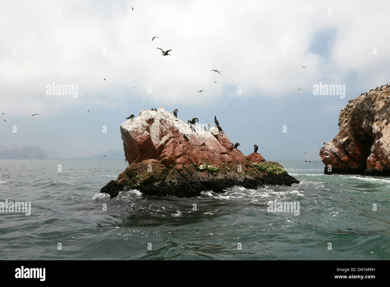 Les îles Ballestas, l'océan Pacifique, le Pérou Banque D'Images