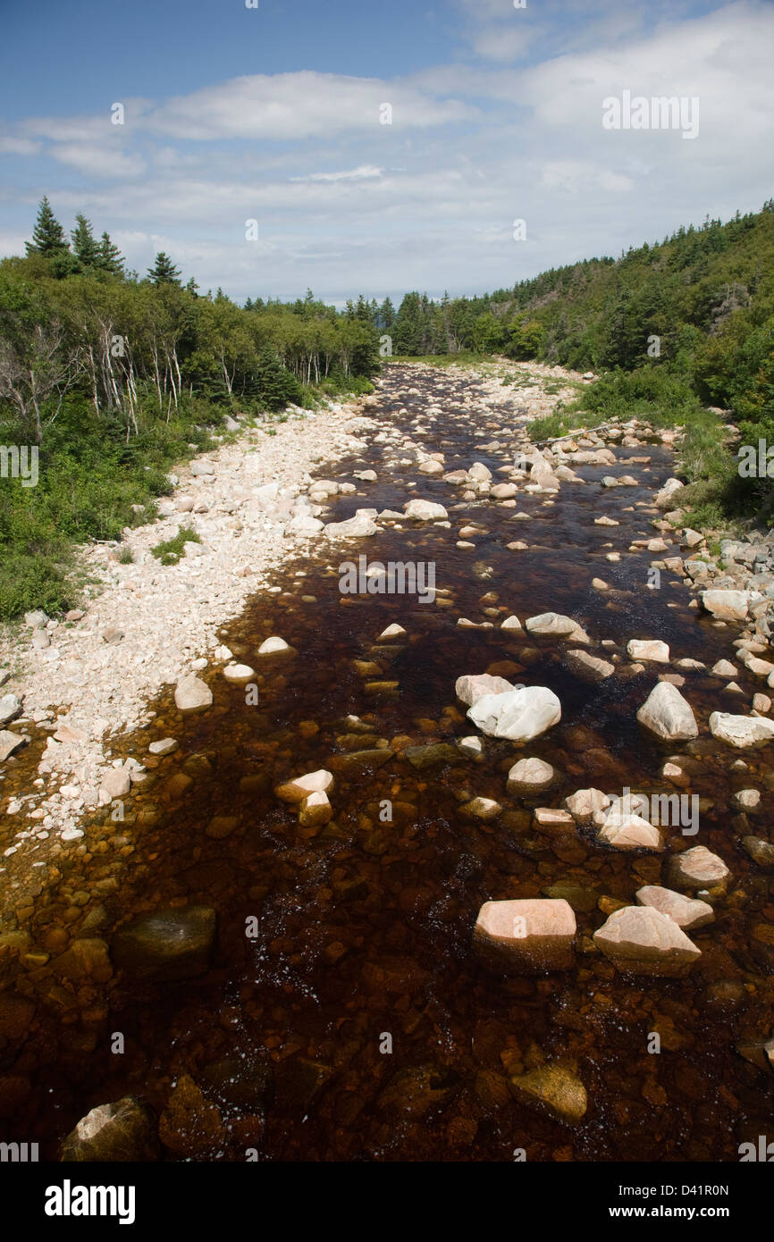 La vallée du fleuve Mackenzie sur la Piste Cabot, Cap-Breton, Nouvelle-Écosse Banque D'Images