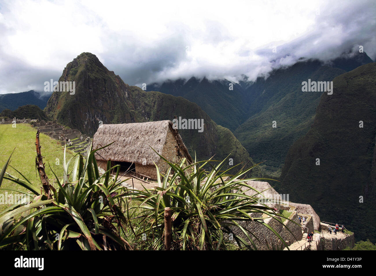 Plantes et Palm cabane en pierre au Machu Picchu avec Huayna Picchu montagne dans l'arrière-plan en ordre décroissant nuages sur la vallée sacrée Banque D'Images