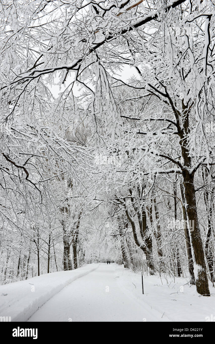Deux femmes s'exécutant dans la distance d'un parc couvert de neige Mont Royal en hiver, Parc du Mont Royal, Montréal, Québec, Canada Banque D'Images