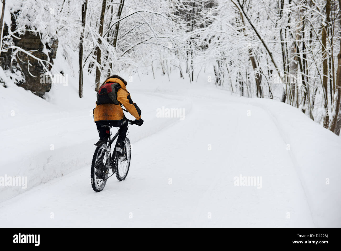 L'homme à vélo dans la neige a couvert le Mont Royal Park en hiver, Parc du Mont Royal, Montréal, Québec, Canada Banque D'Images