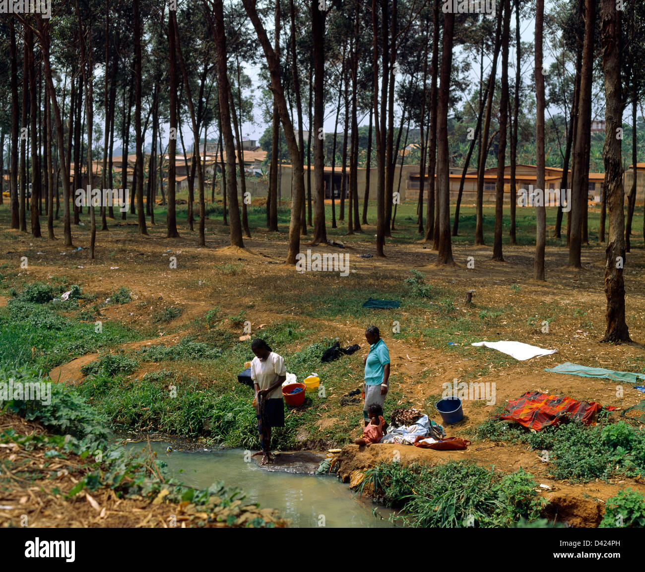 Yaounde Cameroun Femmes Laver les vêtements à l'eau par des bergers Camp Banque D'Images