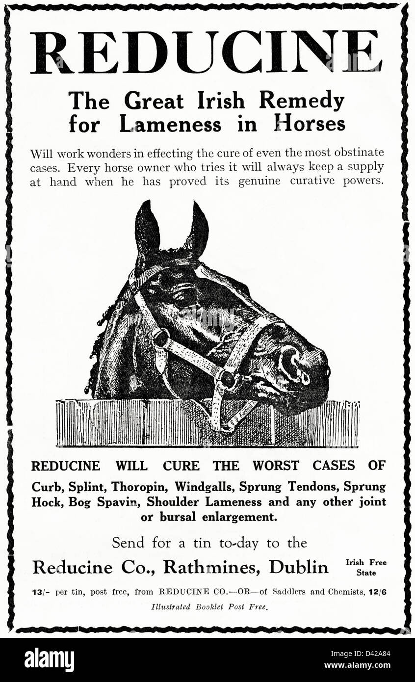 Vintage des années 1920 Publicité imprimée à partir de l'anglais country gentleman's newspaper advertising remède irlandais pour la boiterie chez les chevaux par Reducine Co de Rathmines Dublin Irish Free State Banque D'Images