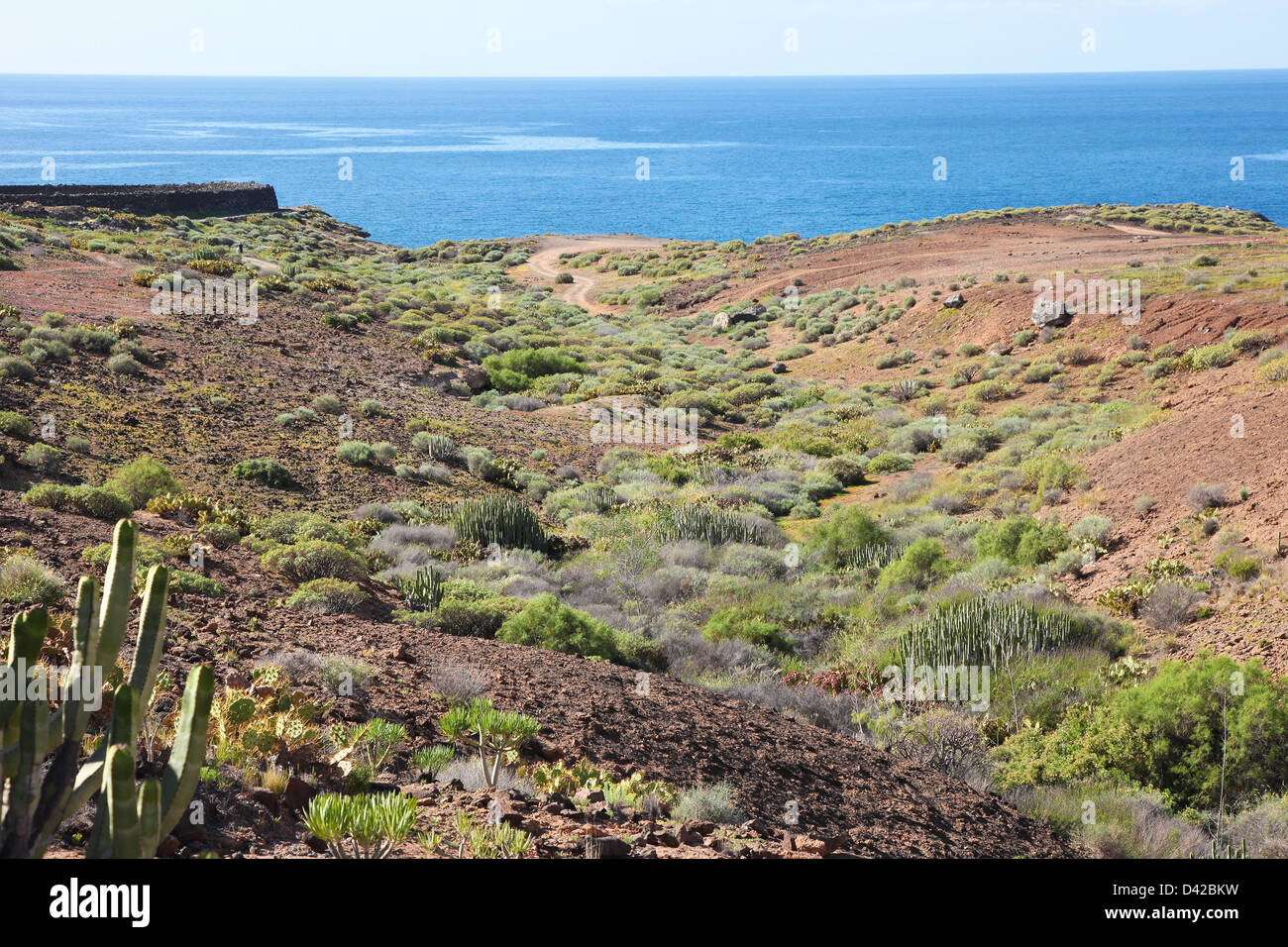 Paysage volcanique à Costa Adeje à Tenerife, Îles Canaries, Espagne. Banque D'Images