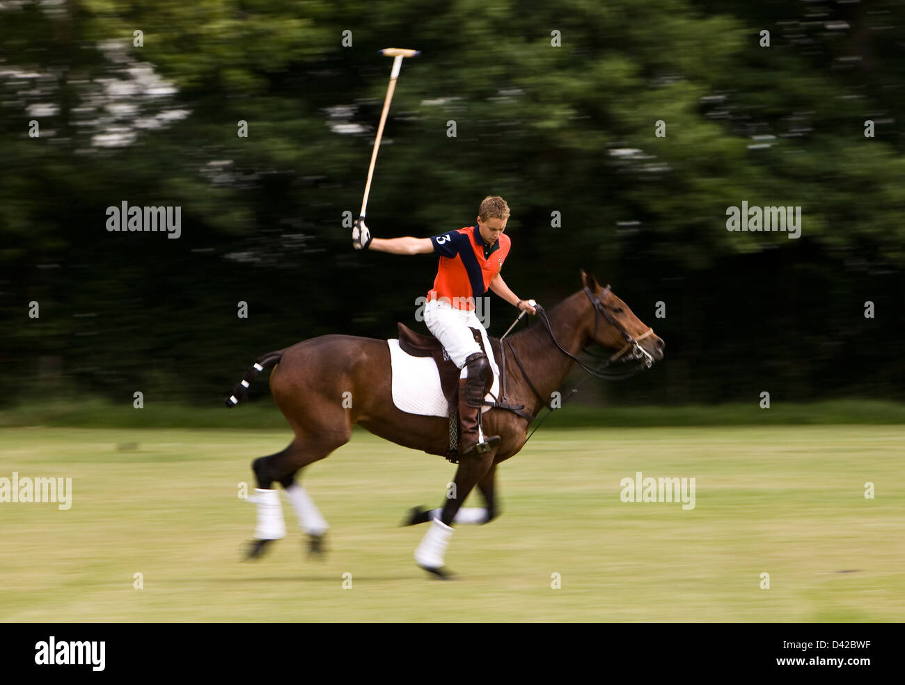 Polo player frapper la balle à cheval Banque D'Images